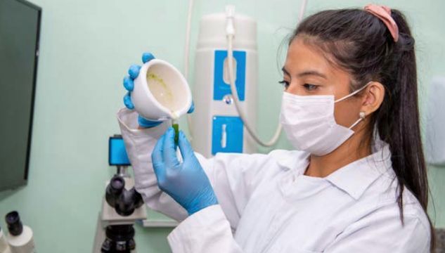 Fortgreen And F1rst Agbiotech Advancing Crop Nutrition In Brazil